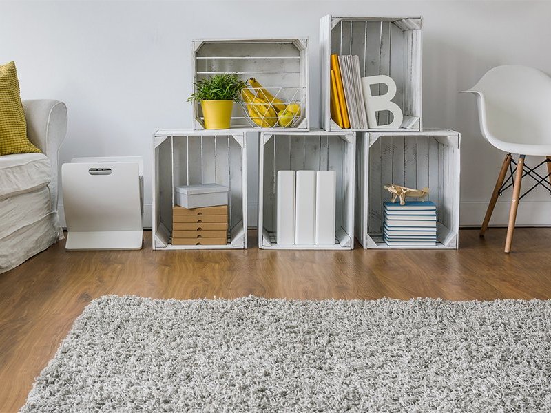 Where is the best place to buy an area rug?